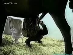 White wife bonks her stud horse with a vintage dilettante horse.